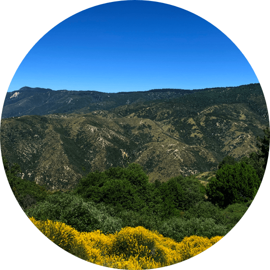 San Bernardino County Traffic School