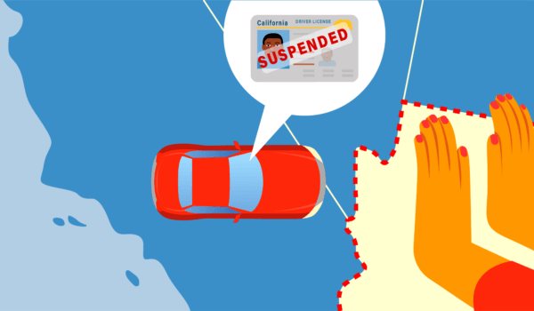 Driver's License Compact