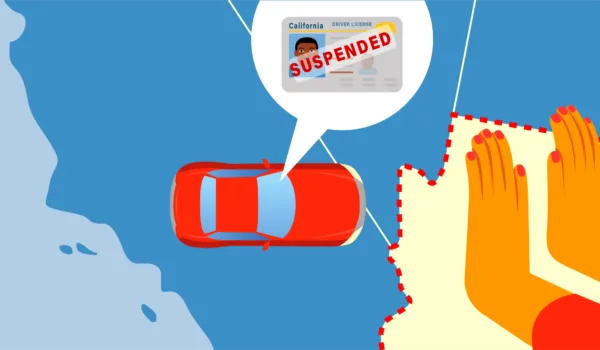 Driver's License Compact