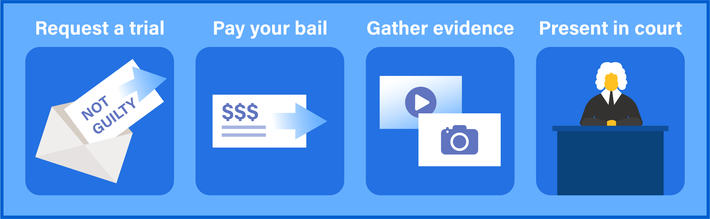 Image shows options for fighting a CVC 21950 ticket, including requesting a trial , paying bail, gathering evidence, and going to court