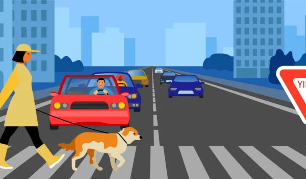 CVC 21950 – Failure to Yield to a Pedestrian: Everything You Need to Know